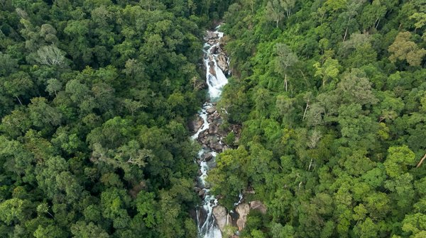 NV Casino : Une plateforme de jeu en ligne incontournable