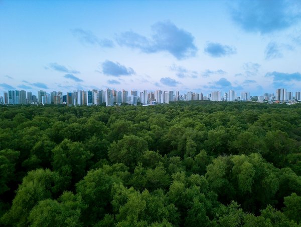 QuickWin juegos provably fair justos y transparentes