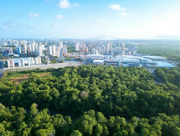 Revolution Casino Λεπτομερής Ανάλυση